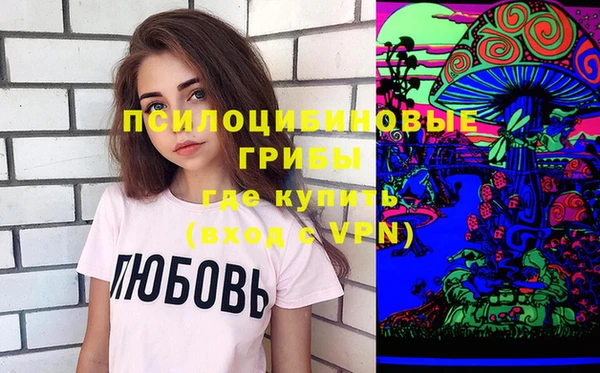 эйфоретик Алексин
